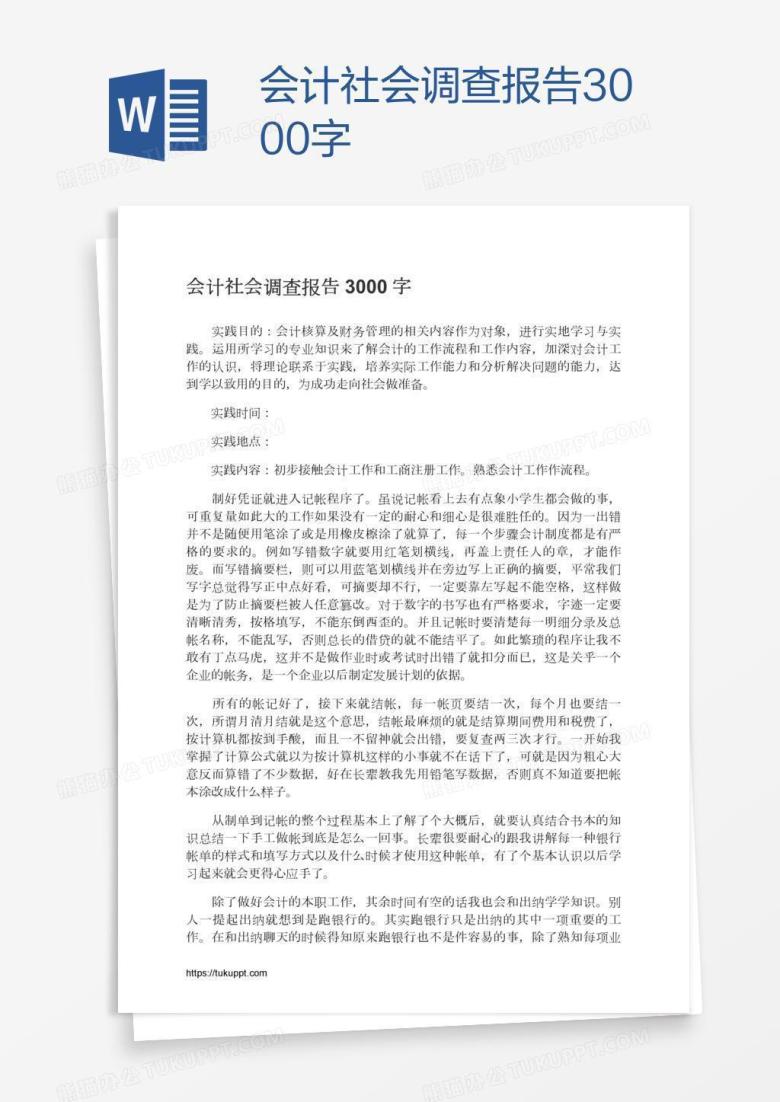 会计社会调查报告3000字