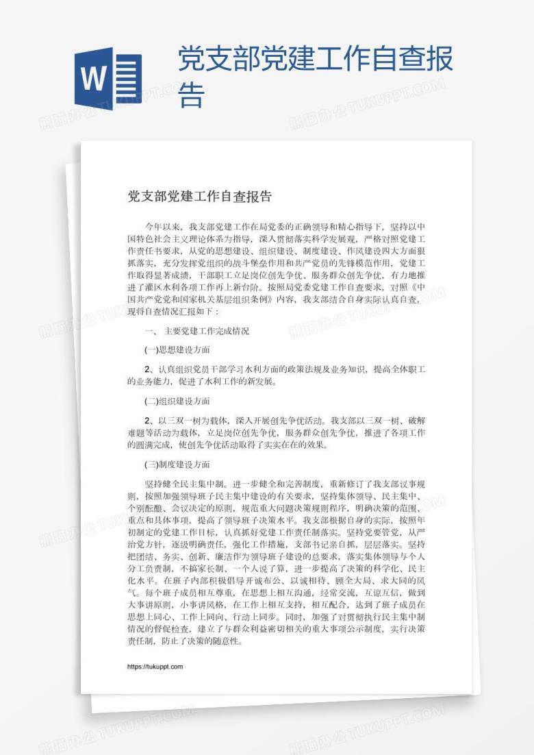 党支部党建工作自查报告