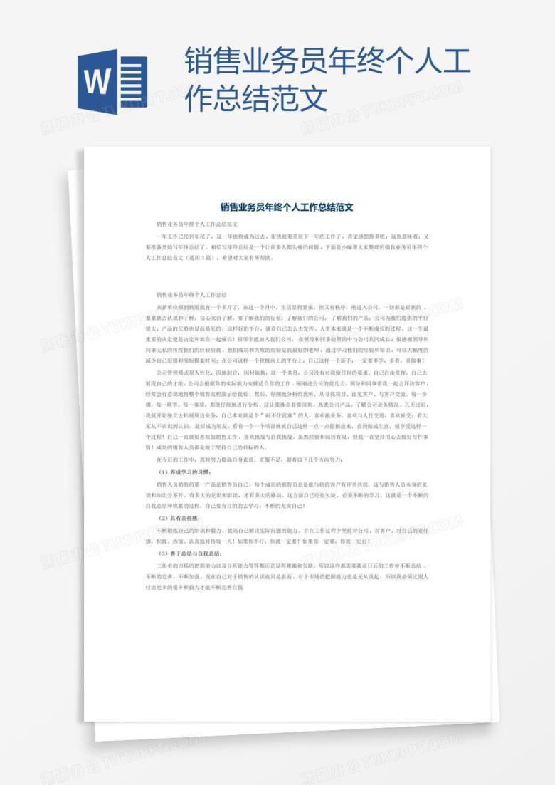 销售业务员年终个人工作总结范文