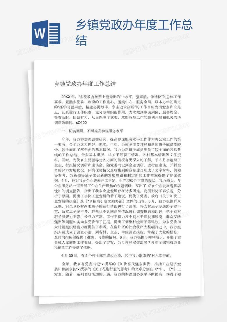 乡镇党政办年度工作总结