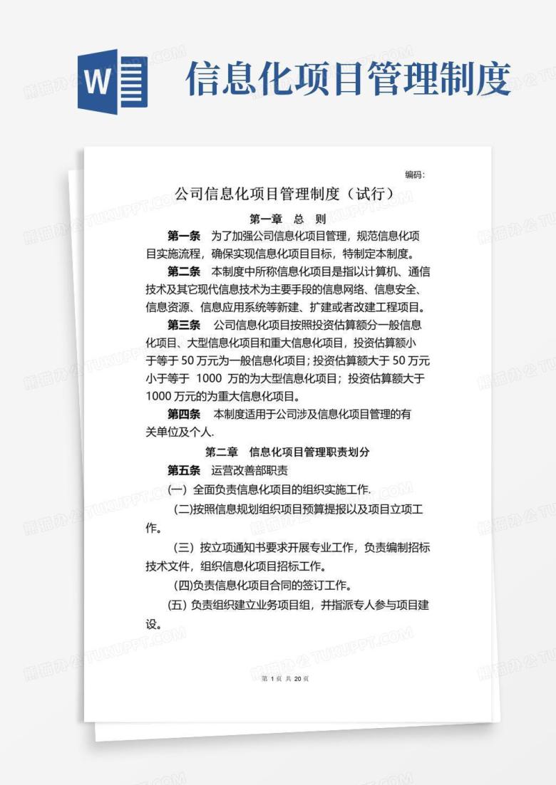 实用的公司信息化项目管理制度-Microsoft-Office-Word-文档