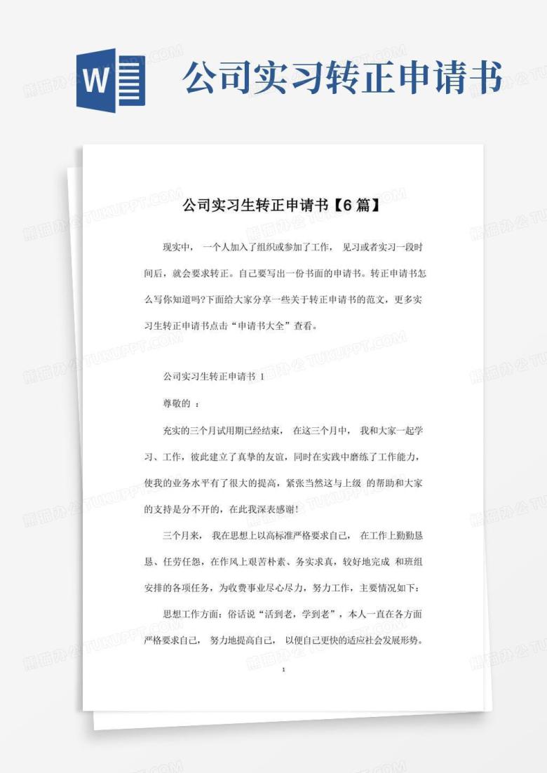 大气版公司实习生转正申请书【6篇】