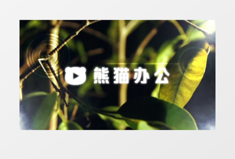 简约树叶照片墙企业展示