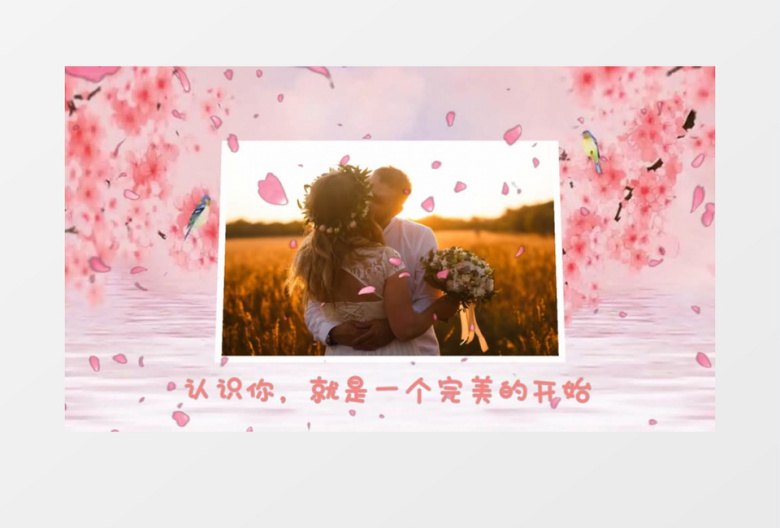 浪漫婚礼宣传片头会声会影模板
