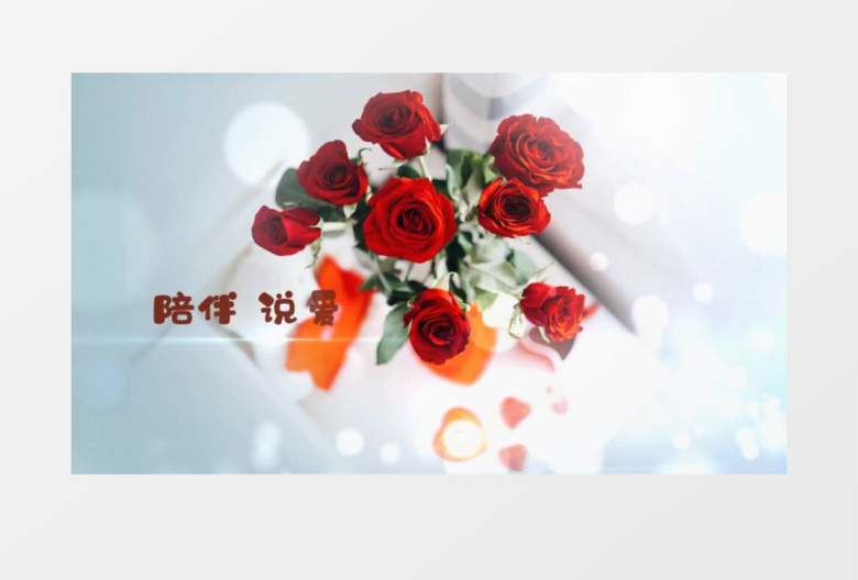 浪漫桃心婚礼婚庆图文片头展示会声会影模板