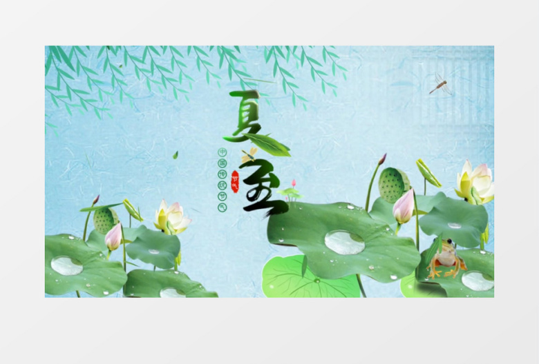 夏天夏至二十四节气AE模板
