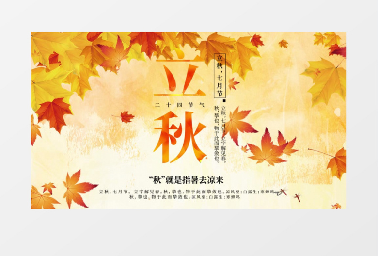 立秋二十四节气传统文化AE模板
