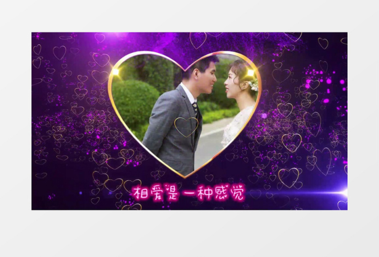 创意花瓣汇聚浪漫婚礼片头edius视频模板