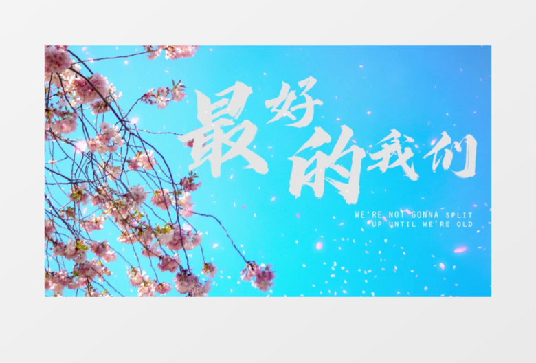 青春洋溢最好的我们樱花PR片头视频模板