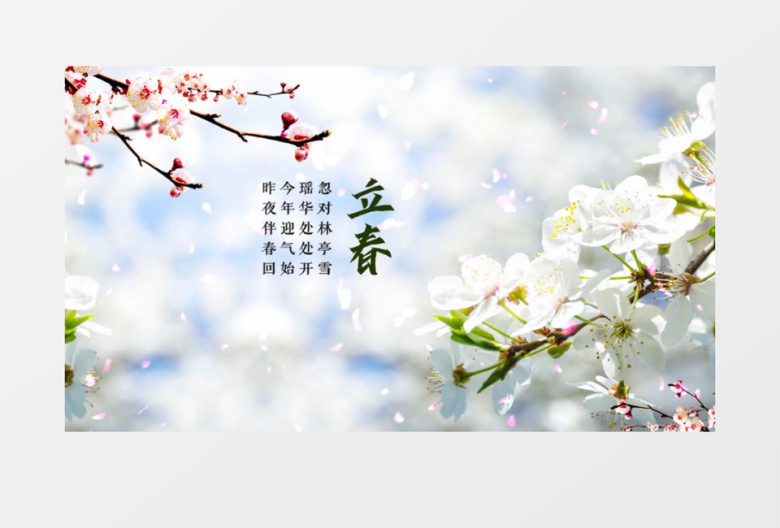 二十四节气立春水墨片头AE模板