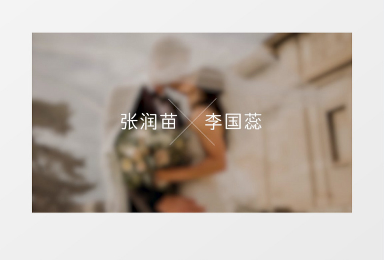 时尚浪漫婚礼字幕条展示动画pr字幕