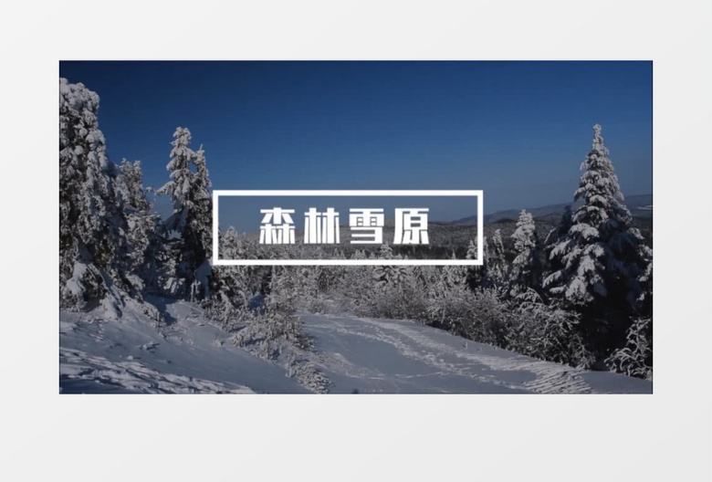 简洁转场风景旅行vlog pr视频模板