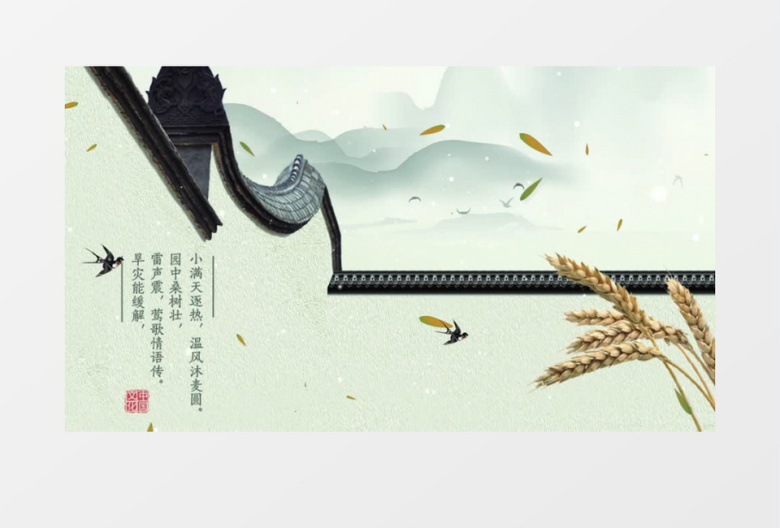 古风二十四节气小满AE模板