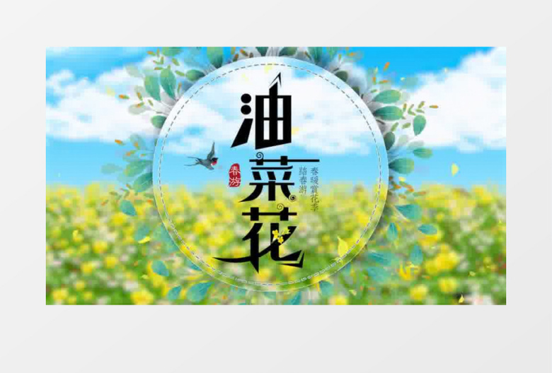 清新油菜花春游片头pr模板