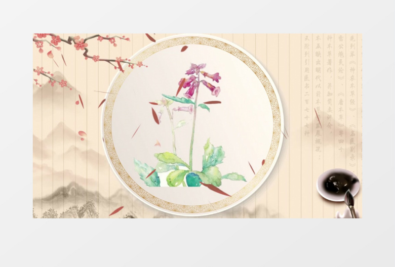 古风中医本草纲目图片宣传背景视频