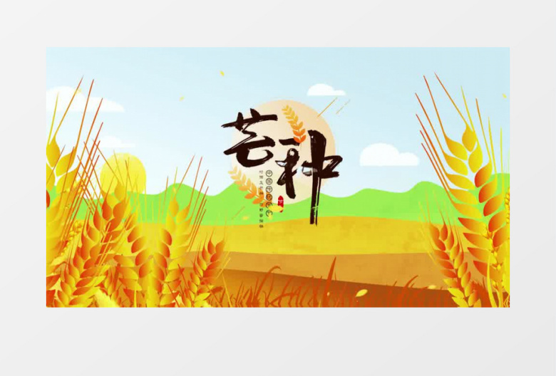 二十四节气之芒种AE模板