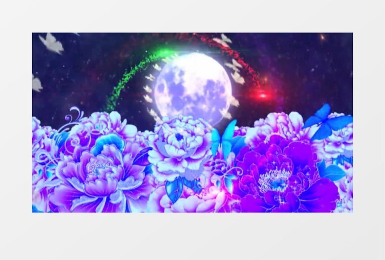 月亮牡丹花蝴蝶飞有音乐视频素材