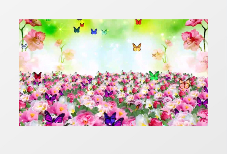 卡通唯美清新牡丹花背景视频（有音乐）