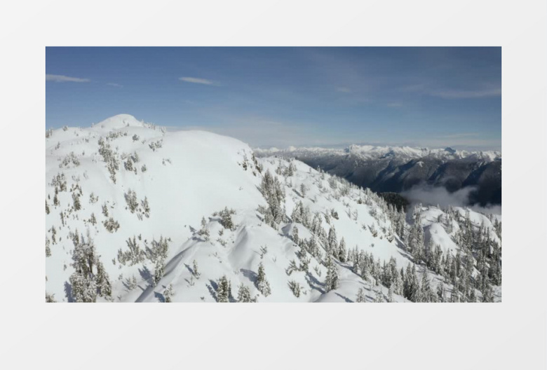 覆盖着松树和雪的山顶实拍视频素材