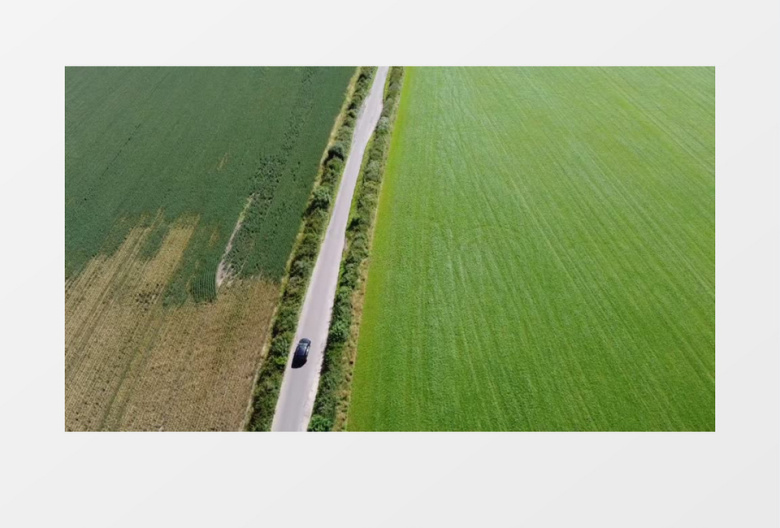 高清航拍绿色的田地中间的道路实拍视频素材