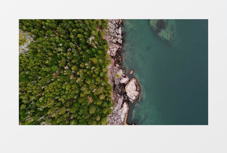 实拍海边的丛林和海水实拍视频素材