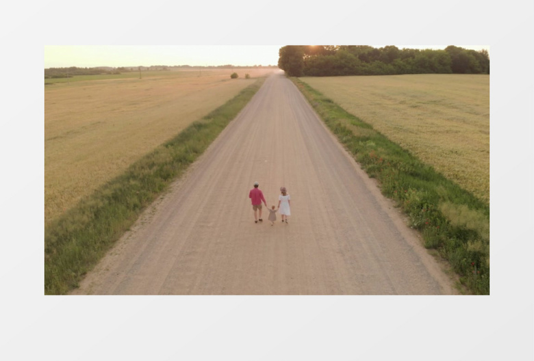 爸爸妈妈牵着宝宝在郊外的道路上行走实拍视频素材实拍视频素材