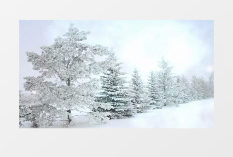冬天雪地雪景飘雪森林（有音乐）背景视频素材