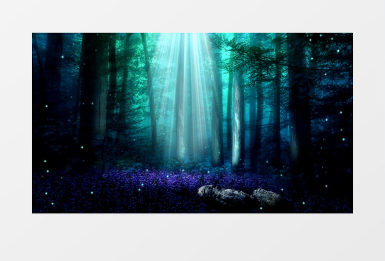 梦幻森林神秘场景背景视频