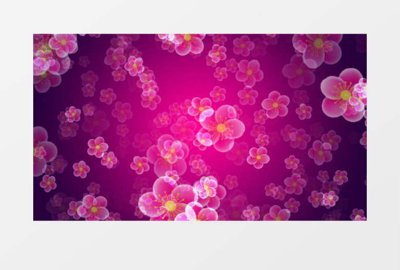 炫丽桃花舞动舞台晚会视频素材