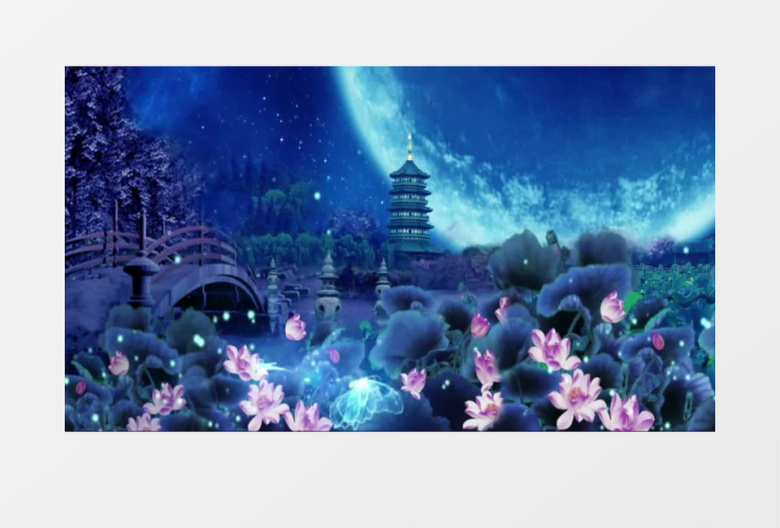 荷花蝴蝶宝塔映月背景视频素材