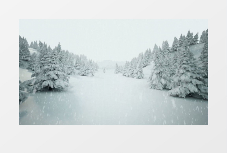 下雪圣诞树森林背景视频