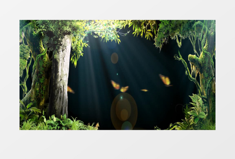 高清唯美森林绿3D幻影全息背景视频素材
