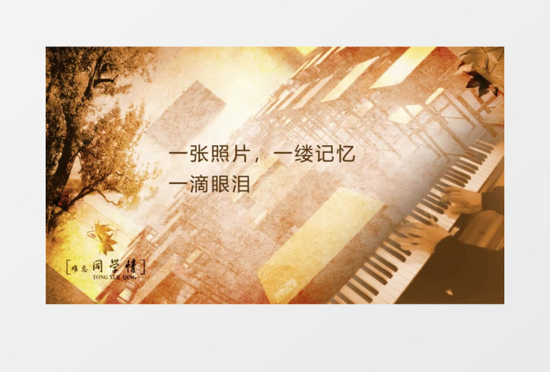 同学聚会怀旧视频模板 