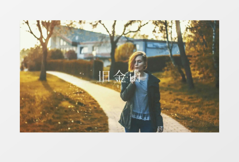 时尚现代动感节拍图文动画快闪片头